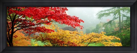 Framed Red &amp; Yellow Trees in Butchart Gardens, Vancouver Island, British Columbia, Canada Print