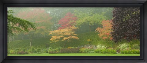 Framed Colored Trees in Butchart Gardens, Vancouver Island, British Columbia, Canada Print