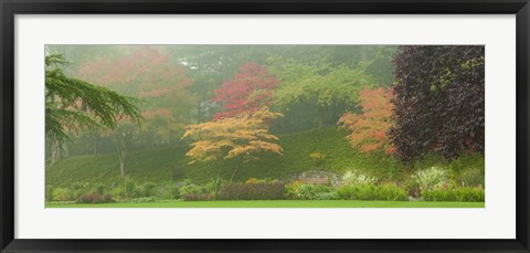 Framed Colored Trees in Butchart Gardens, Vancouver Island, British Columbia, Canada Print