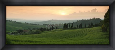 Framed Trees on a hill, Monticchiello Di Pienza, Val d&#39;Orcia, Siena Province, Tuscany, Italy Print
