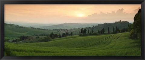 Framed Trees on a hill, Monticchiello Di Pienza, Val d&#39;Orcia, Siena Province, Tuscany, Italy Print