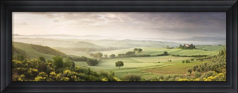 Framed Foggy field, Villa Belvedere, San Quirico d&#39;Orcia, Val d&#39;Orcia, Siena Province, Tuscany, Italy Print