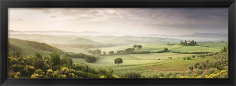 Framed Foggy field, Villa Belvedere, San Quirico d&#39;Orcia, Val d&#39;Orcia, Siena Province, Tuscany, Italy Print