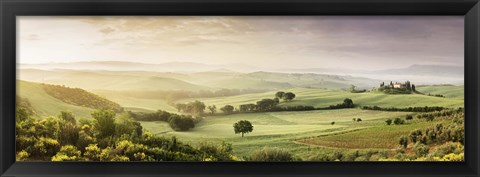 Framed Trees in a field, Villa Belvedere, San Quirico d&#39;Orcia, Val d&#39;Orcia, Siena Province, Tuscany, Italy Print