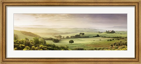 Framed Trees in a field, Villa Belvedere, San Quirico d&#39;Orcia, Val d&#39;Orcia, Siena Province, Tuscany, Italy Print