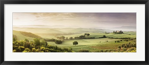 Framed Trees in a field, Villa Belvedere, San Quirico d&#39;Orcia, Val d&#39;Orcia, Siena Province, Tuscany, Italy Print