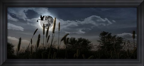 Framed Stork with a baby flying over moon Print