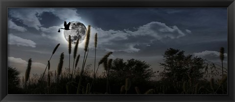 Framed Stork with a baby flying over moon Print