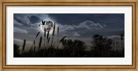 Framed Stork with a baby flying over moon Print