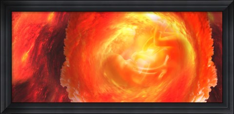 Framed Baby in uterus Print