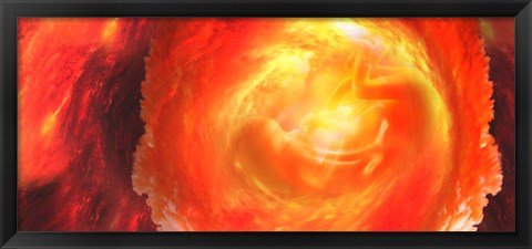 Framed Baby in uterus Print