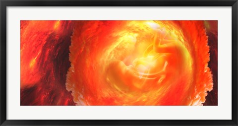 Framed Baby in uterus Print