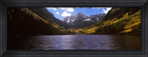 Framed Trees in a forest, Snowmass Wilderness Area, Maroon Bells, Colorado, USA Print