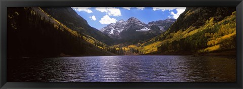 Framed Trees in a forest, Snowmass Wilderness Area, Maroon Bells, Colorado, USA Print