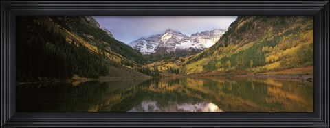 Framed Reflection of trees on water, Aspen, Pitkin County, Colorado, USA Print