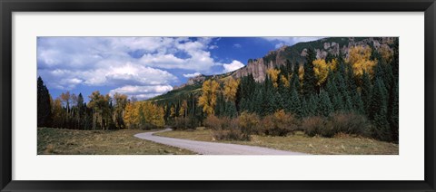 Framed Road passing through a forest, Jackson Guard Station, Ridgway, Colorado, USA Print