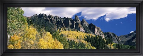 Framed Forest on a mountain, Jackson Guard Station, Ridgway, Colorado, USA Print