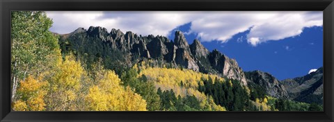 Framed Forest on a mountain, Jackson Guard Station, Ridgway, Colorado, USA Print