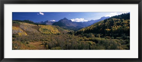 Framed Trees on mountains, State Highway 62, Ridgway, Colorado, USA Print