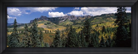 Framed Trees on mountains, Ridgway, Colorado, USA Print