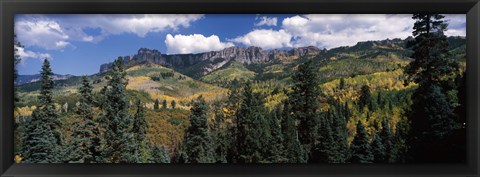 Framed Trees on mountains, Ridgway, Colorado, USA Print