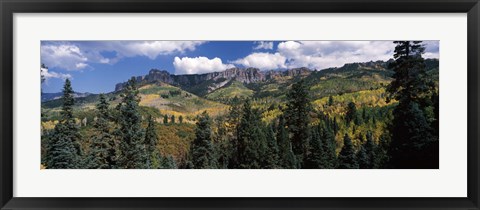 Framed Trees on mountains, Ridgway, Colorado, USA Print