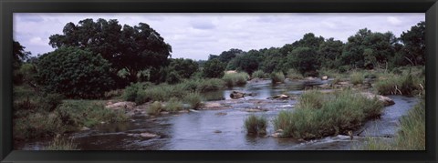 Framed Sabie River, Kruger National Park, South Africa Print