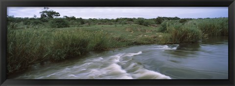 Framed River flowing through a forest, Sabie River, Kruger National Park, South Africa Print