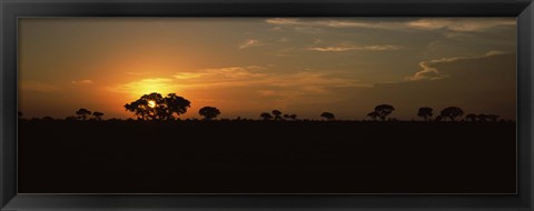 Framed Sunset over the savannah plains, Kruger National Park, South Africa Print