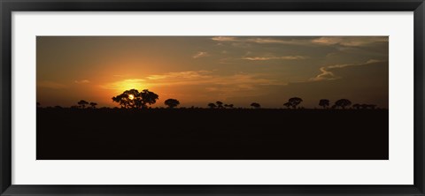 Framed Sunset over the savannah plains, Kruger National Park, South Africa Print