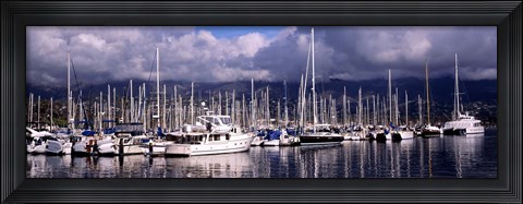 Framed Boats at a harbor, Santa Barbara Harbor, Santa Barbara, California, USA Print