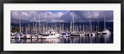 Framed Boats at a harbor, Santa Barbara Harbor, Santa Barbara, California, USA Print