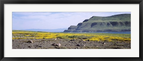 Framed Island in the pacific ocean, Santa Cruz Island, Santa Barbara County, California, USA Print