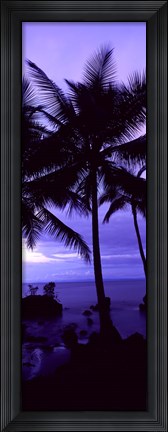 Framed Palm trees on the coast, Colombia (purple) Print
