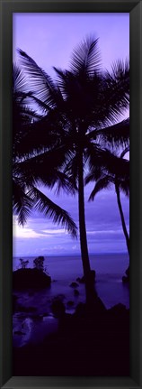 Framed Palm trees on the coast, Colombia (purple) Print
