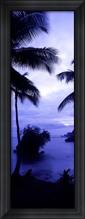 Framed Palm trees on the coast, Colombia (purple and blue) Print