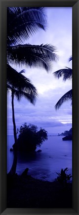 Framed Palm trees on the coast, Colombia (purple and blue) Print