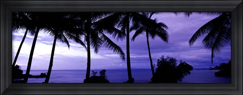 Framed Palm trees on the coast, Colombia (purple horizontal) Print