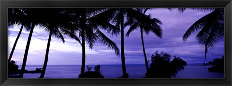 Framed Palm trees on the coast, Colombia (purple horizontal) Print