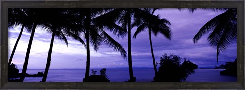 Framed Palm trees on the coast, Colombia (purple horizontal) Print