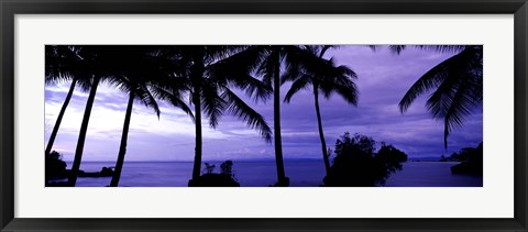 Framed Palm trees on the coast, Colombia (purple horizontal) Print