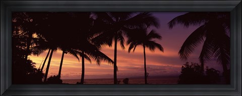 Framed Palm trees on the coast, Colombia (pink sky) Print
