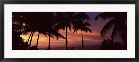 Framed Palm trees on the coast, Colombia (pink sky) Print