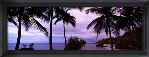 Framed Palm trees on the coast, Colombia (purple sky with clouds) Print