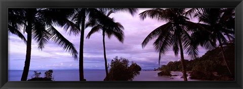 Framed Palm trees on the coast, Colombia (purple sky with clouds) Print