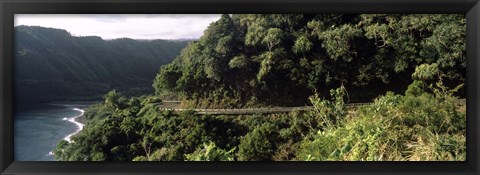 Framed Hana Highway, Maui, Hawaii Print