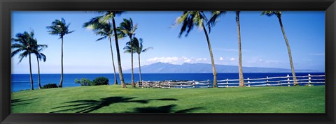 Framed Palm trees at the coast, Ritz Carlton Hotel, Kapalua, Molokai, Maui, Hawaii, USA Print