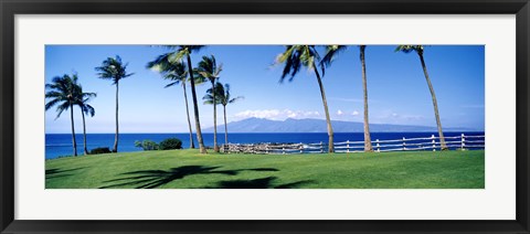 Framed Palm trees at the coast, Ritz Carlton Hotel, Kapalua, Molokai, Maui, Hawaii, USA Print