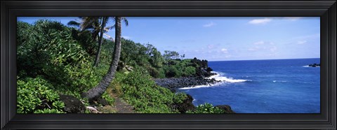 Framed Palm trees with plants growing at a coast, Black Sand Beach, Hana Highway, Waianapanapa State Park, Maui, Hawaii, USA Print