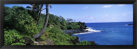 Framed Palm trees with plants growing at a coast, Black Sand Beach, Hana Highway, Waianapanapa State Park, Maui, Hawaii, USA Print